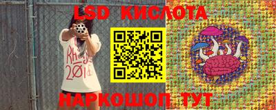 стафф Краснознаменск