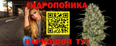 дмт Краснодар