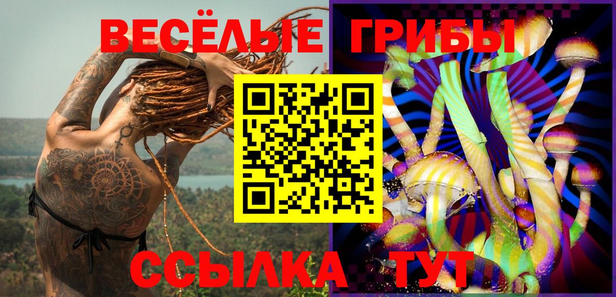 Галлюциногенные грибы Psilocybe  Вход с VPN  Фурманов 